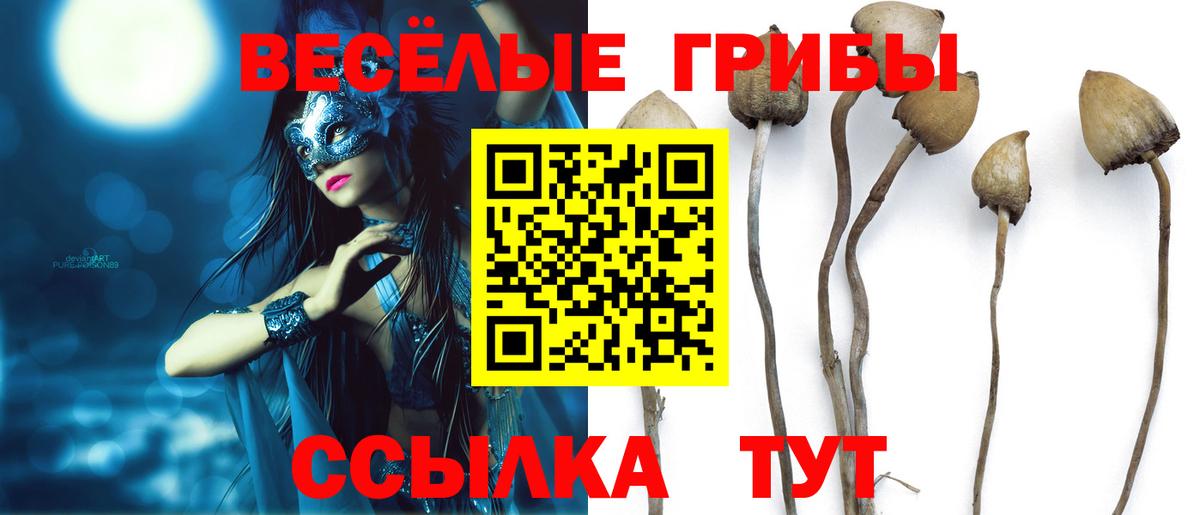 Псилоцибиновые грибы GOLDEN TEACHER Шахты